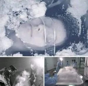 حدثت موقعه فريده