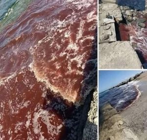 عاجل علامات البحر المتوسط بدأت بالظهور الكا.رثة ستض.رب