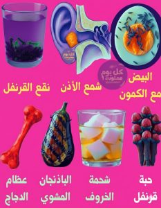 البيض مع الكمون