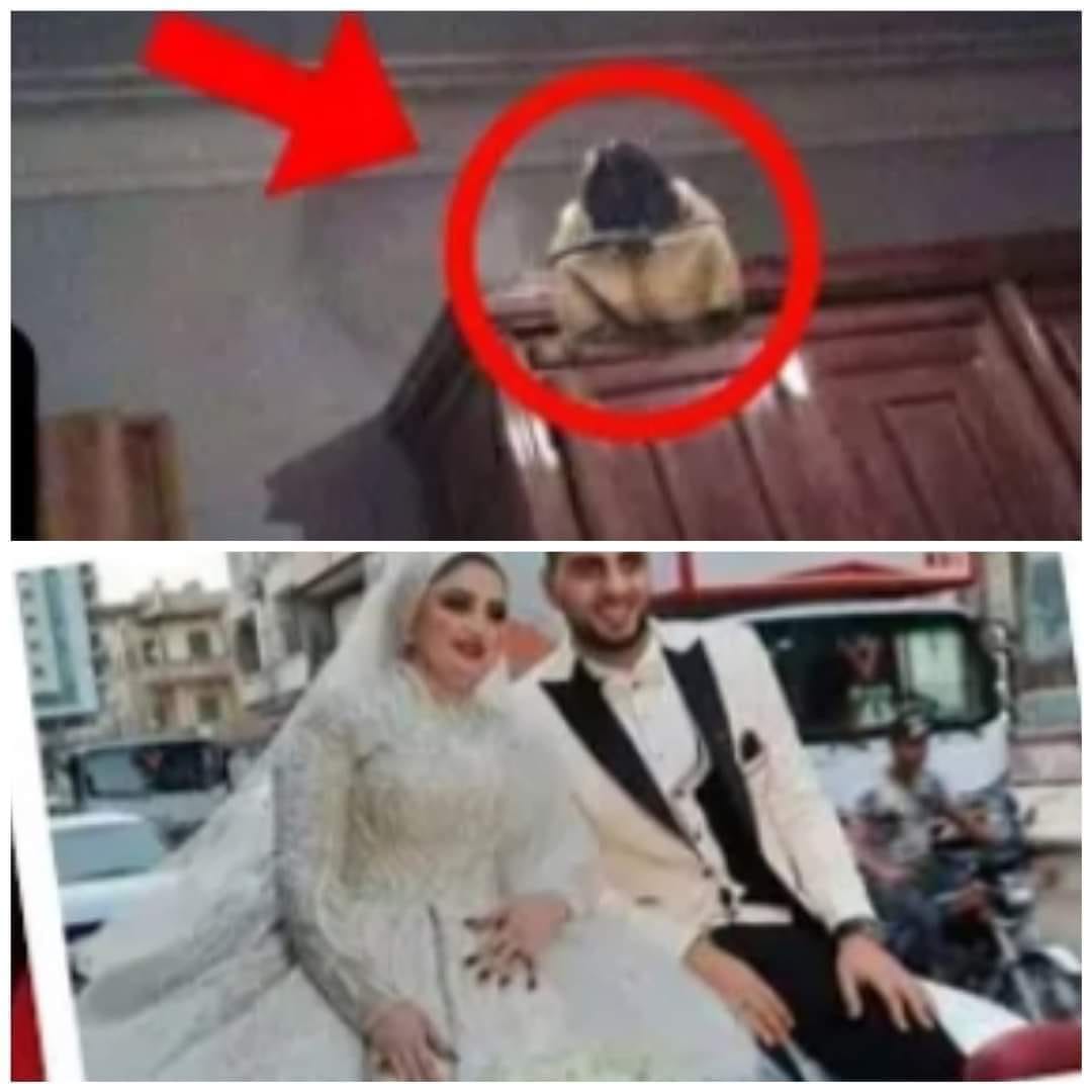 غموض وفاة عروس في ليلة زفافها