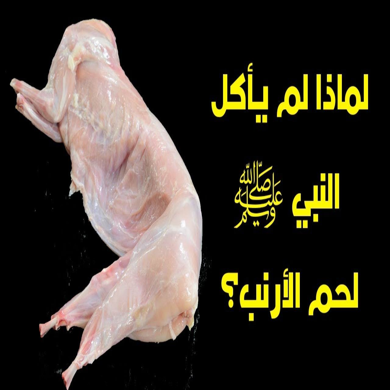 التأمين الصحي والاستثمار في الغذاء الحلال: حكم أكل الأرنب في السنة النبوية وانعكاساته على التخطيط المالي الإسلامي