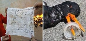 الاستثمار العقاري في المساحات التاريخية: كيف حولنا مقبرة مهجورة إلى مشروع سياحي مربح